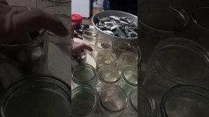 Консервы с салаки в автоклаве.