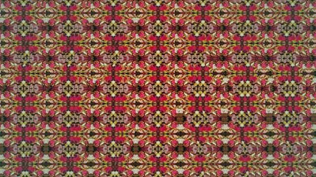 Stereograms. Stereogram pictures. Стереокартинки для гимнастики глаз смотреть онлайн