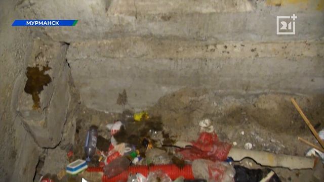 Мурманчане пожаловались на кошмар в подвале жилого дома смотреть онлайн