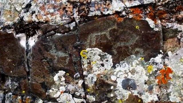 Красоты Алтая   май 2016   фото Николая Денисенко