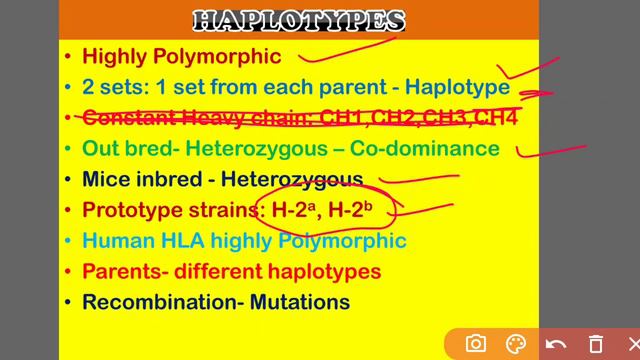 MHC MAJOR HISTOCOMPATABILITY COMPLEX смотреть онлайн