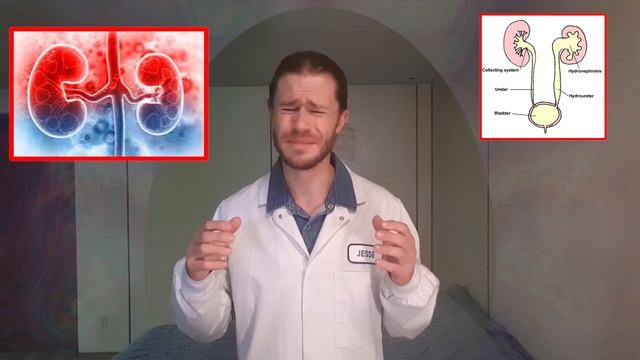 The Truth About ???????? - Separating Fact from Fiction смотреть онлайн