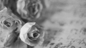 "Comment te dire adieu?.." Françoise Hardy -Франсуаз Арди