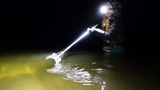 НОЧНАЯ ЛОВЛЯ РАКОВ НА РАКОХВАТ. Собираю раков по пояс в воде осенью. смотреть онлайн