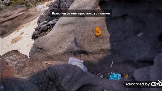 !!!РАЗОБЛАЧЕНИЕ НА ЕГОРИКА!!! смотреть онлайн