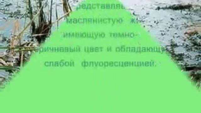 Загрязнение окружающей среды flv смотреть онлайн