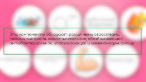 Родиола розовая: полезные свойства и область применения