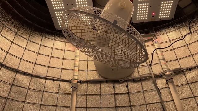 Growtube.ru. Гроубокс Овальный 170 Вт, площадь 0,33 м² смотреть онлайн