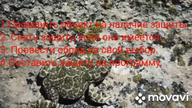 Четыре правила наведения порчи. смотреть онлайн