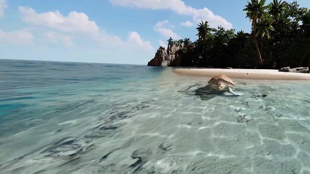 Kayak VR: Mirage_Found a Turtle!!! смотреть онлайн