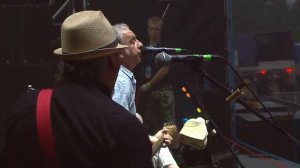 ЧАЙФ - Белая ворона