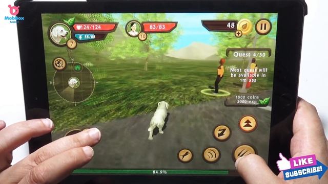 Dog Sim Online - Dog Simulator Build A Family Android Gameplay Video #3