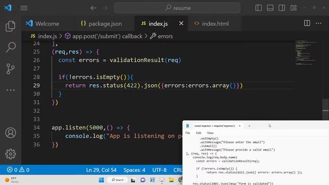 Node.js Express Server Side Form Validation With Custom Error Messages Using express-validator AJAX смотреть онлайн