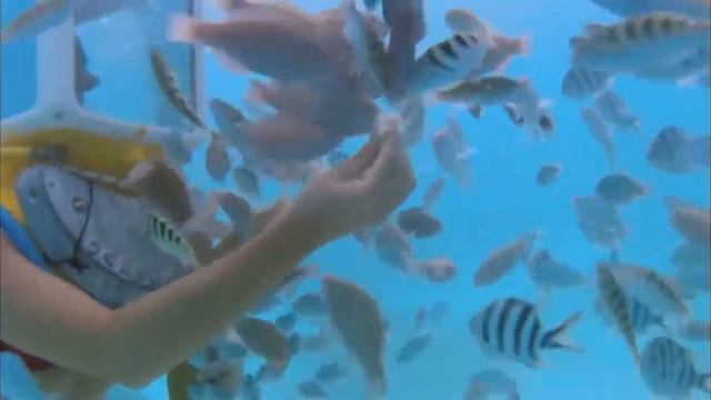 Bora Bora Part2 смотреть онлайн