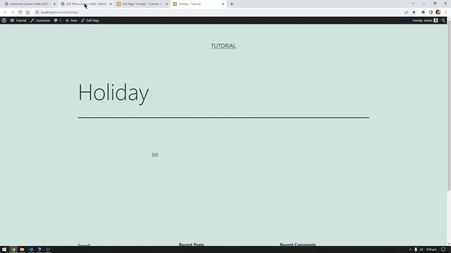 ACF Photo Gallery Field - Installation and Basic Usage | WordPress смотреть онлайн