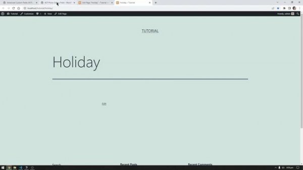 ACF Photo Gallery Field - Installation and Basic Usage | WordPress