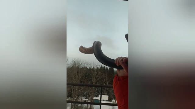 24.11.23.Служение Территории, г. Суоярви, Карелия