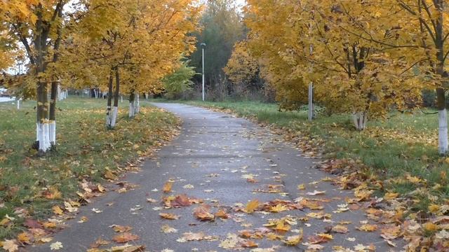 Видеозарисовка "Царица - осень" смотреть онлайн