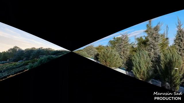 Садовый Центр "Марусин Сад" - Можжевельник смотреть онлайн