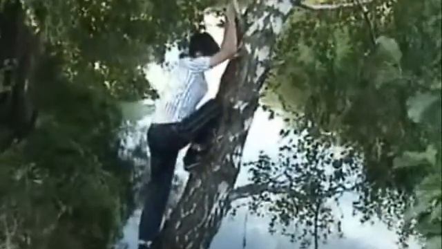 Шернутый Отдых. Часть третья смотреть онлайн