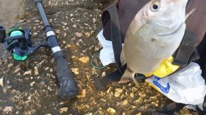 Песчаное, рыбалка на самодуры с берега.