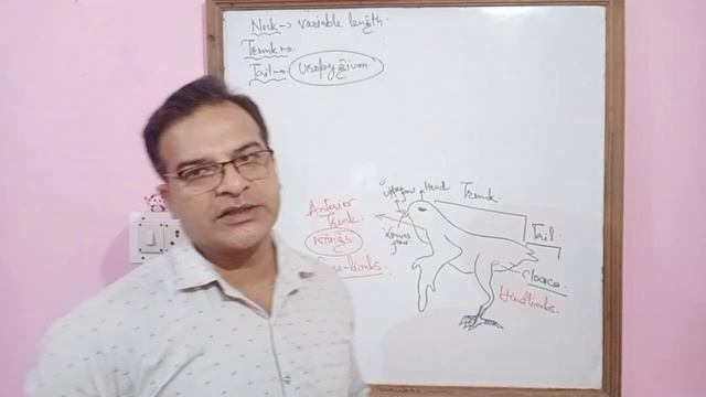 class Aves part 1 смотреть онлайн