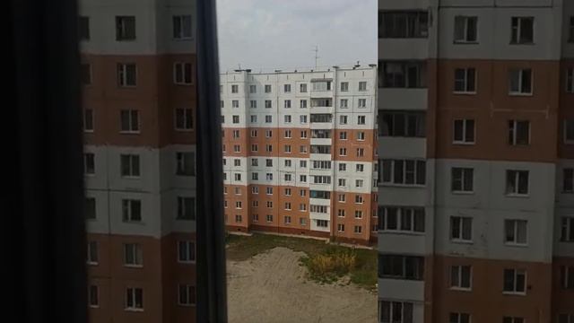 53,37 кв. м. ЖК Шоколад, дом сдан Квартира от застройщика Барнаул смотреть онлайн