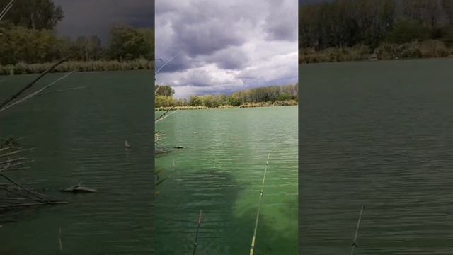 фазаны и на рыбалку ? смотреть онлайн