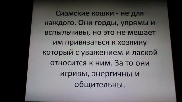 Самые известные породы кошек🐱🐈