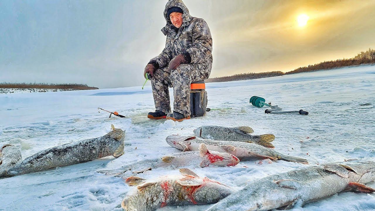 КРУПНЯК ВЫРЫВАЕТ УДОЧКУ! ЛАПТИ-ОКУНИ, ЖЕРЛИЦА В ПАЛАТКЕ! Якутия серия 13 смотреть онлайн