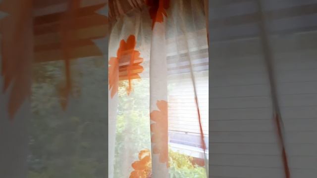 Ремонт закончен на маленькой веранде.Вешаем шторы,вешалки и всё необходимое для дачи. смотреть онлайн