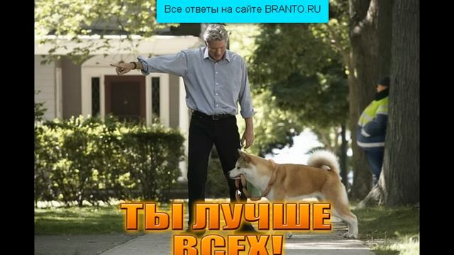 Игра Фотоляпы ответы: 91, 92, 93, 94, 95 уровень смотреть онлайн