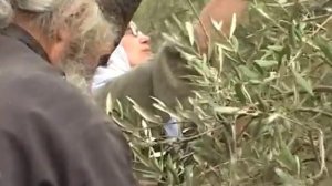 Монастыри Святой Земли