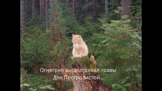 Огнегрив смотреть онлайн
