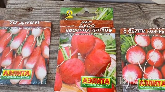 138. Редис, салат в теплицу посеял. Мышей в доме нет. смотреть онлайн