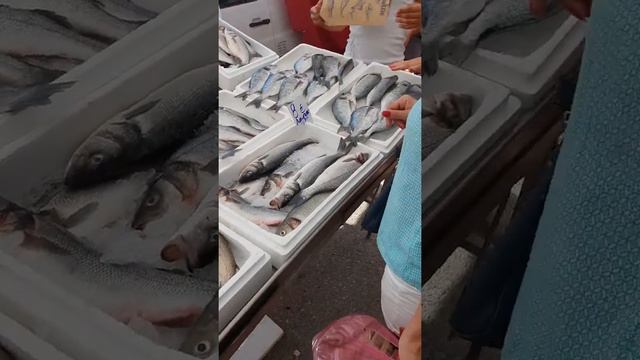 Рынок Неос Мармарас смотреть онлайн