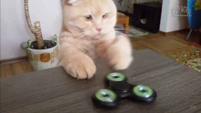 современный кот смотреть онлайн