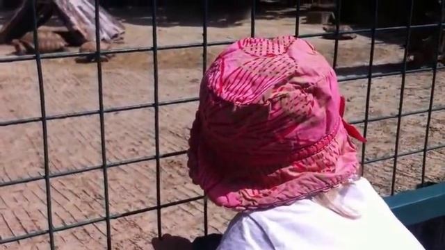 Экопарк Фельдмана Харьков Feldman Kharkov Ecopark смотреть онлайн