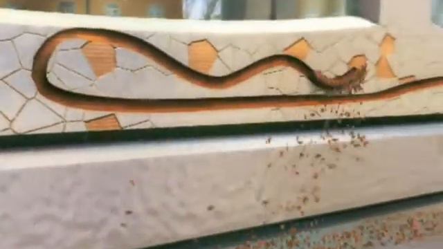 PST 2000 год смотреть онлайн