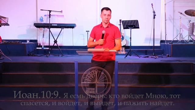 Церковь "Дерево Жизни" г.Новосибирск смотреть онлайн