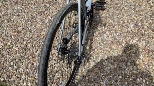 2021 Trek FX Sport Carbon 4