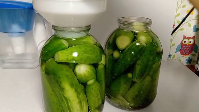 Мариную огурцы только так.Маринованные огурцы в трёх кратной заливке смотреть онлайн