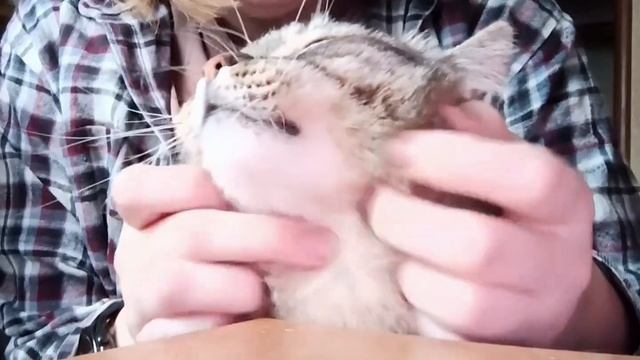 Причина моего опоздания на работу видео для начальника смотреть онлайн