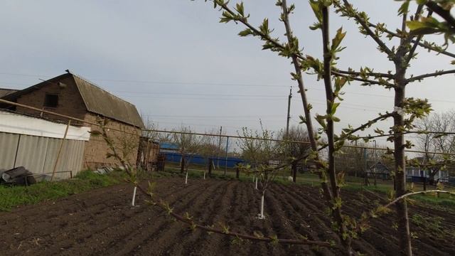 ДРУЖНАЯ ПРОПОЛКА / САМЫЙ ХУДШИЙ ГОД В МОЕЙ ЛЕТОПИСИ / ЕСЛИ ВЫБОРА НЕТ / ПОЛУЧИЛ ПЕРВУЮ ЗАРПЛАТУ смотреть онлайн