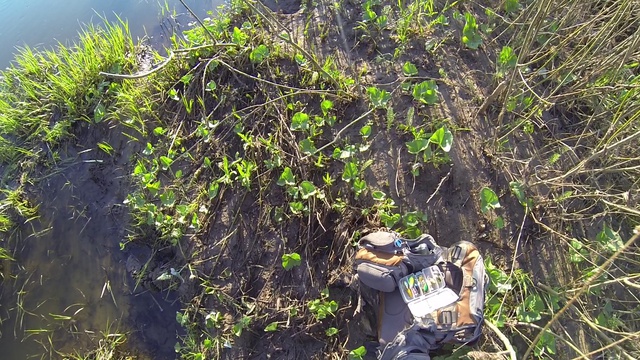 май, ловля голавля на перекате