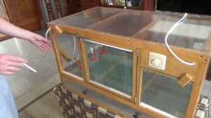 Брудер для цыплят своими руками