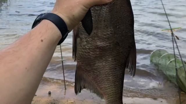 Рыбалка на Истринском водохранилище. Лещ. 2021 смотреть онлайн