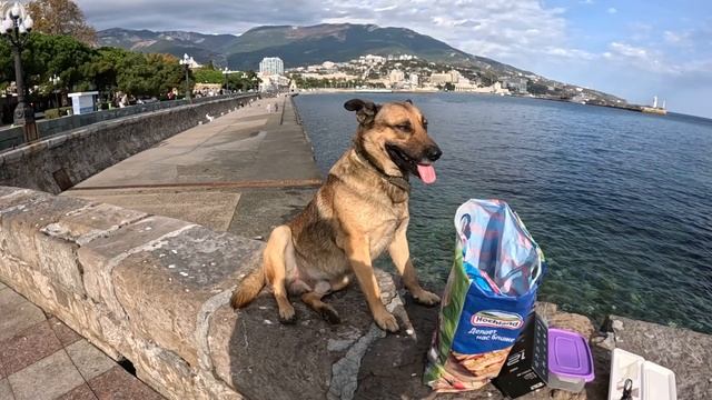 ▶️ Погода в Ялте 24 октября смотреть онлайн