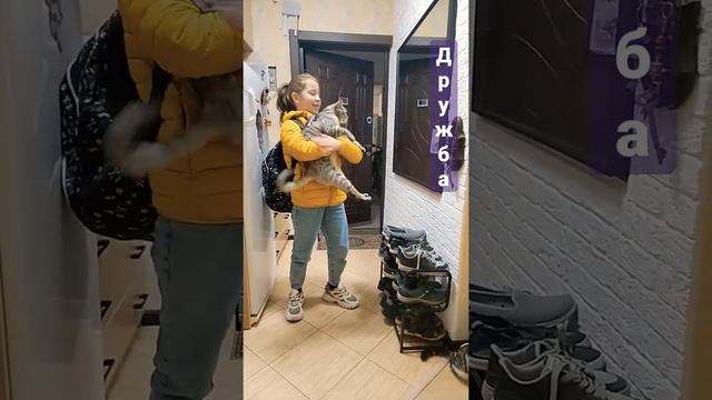 Коты и дети. Дружба?? смотреть онлайн