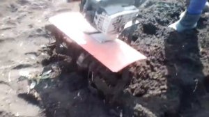 Пашу землю на мотоблоке тарпан